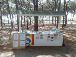 Chiosco in una pineta