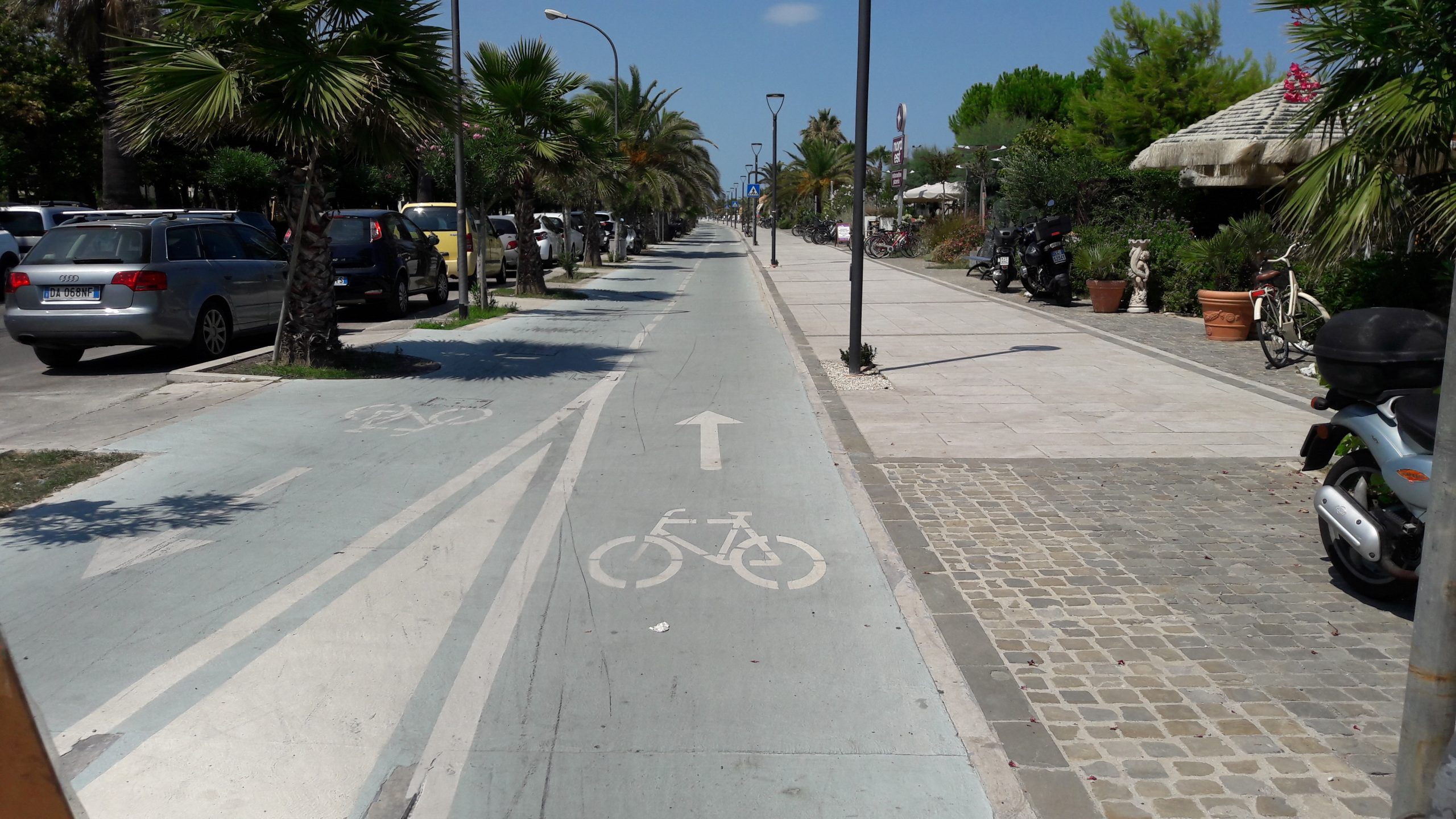 dettaglio della ciclabile a bordo strada.