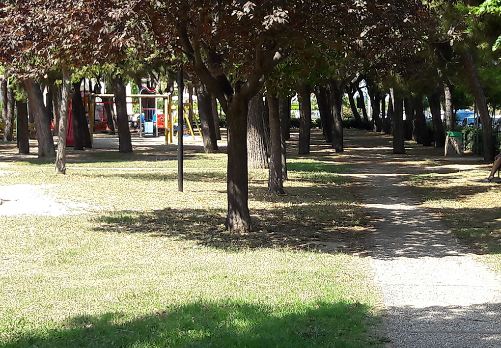 un parco con viali e alberi