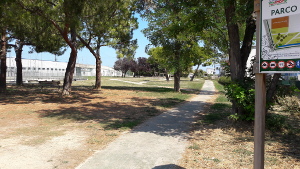 Parco_dello_sport_2