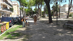 Pineta_Ricciotti_2