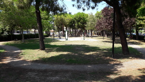 Pineta_dei_Bersaglieri_2