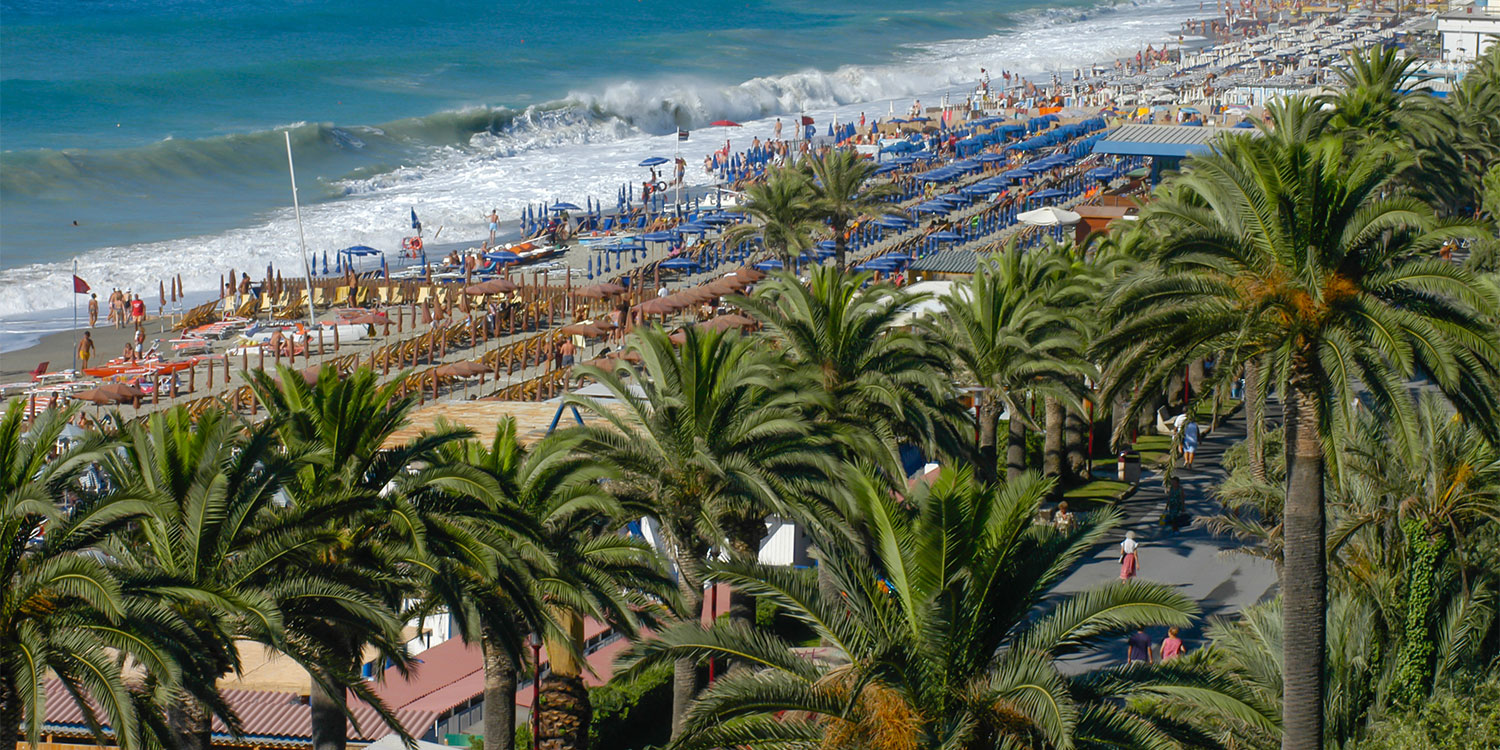 palme e spiaggia durante una mareggiata