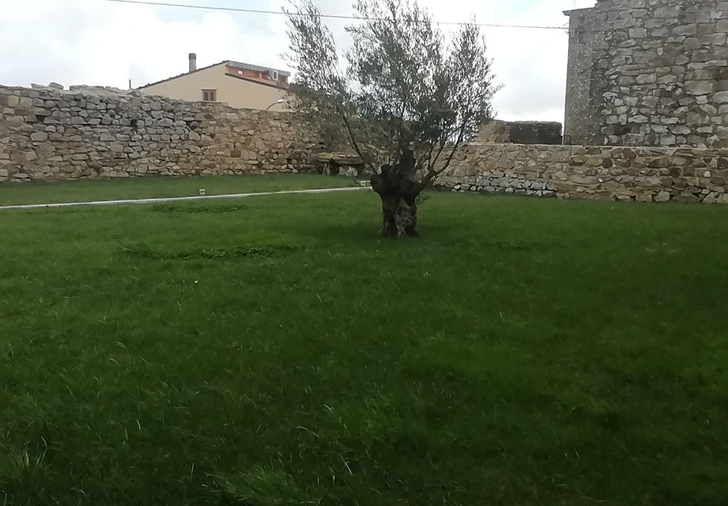 sdr