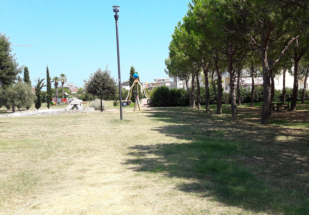 un parco con alberi