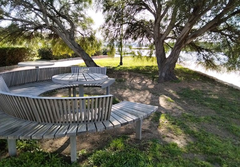 Una panchina in un parco, sotto l'ombra di un parco