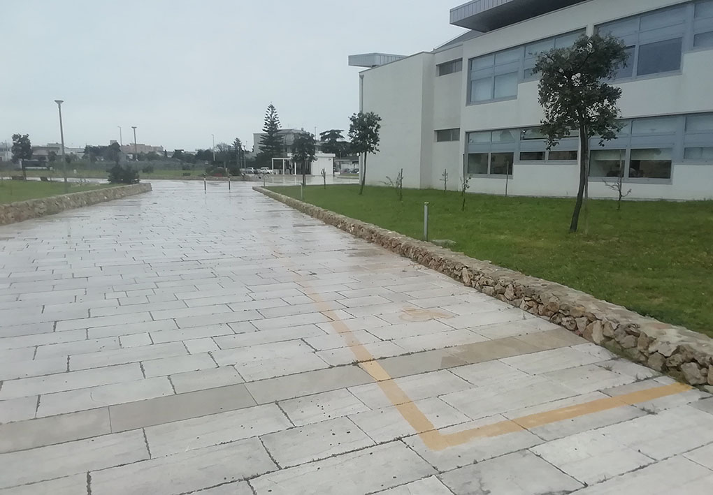 un'ampia strada lastricata tra le aiuole, di fianco a un moderno edificio