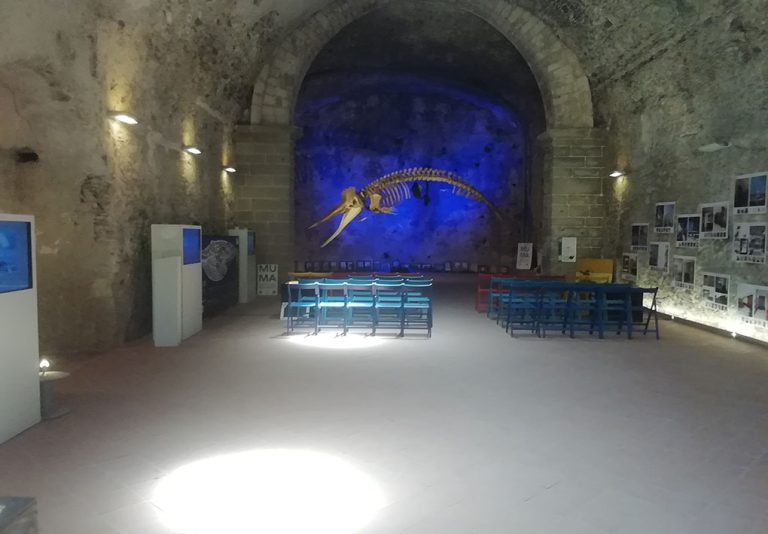 in un'ampia sala, lo scheletro di un enorme pesce è in esposizione
