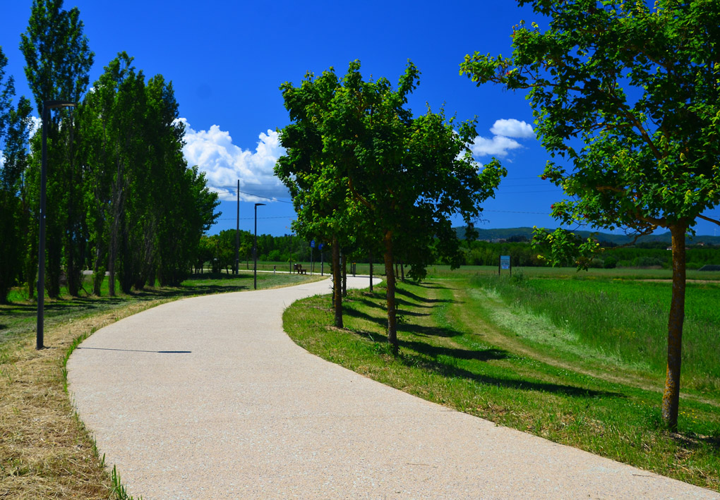 la pista ciclabile si snoda fra gli alberi