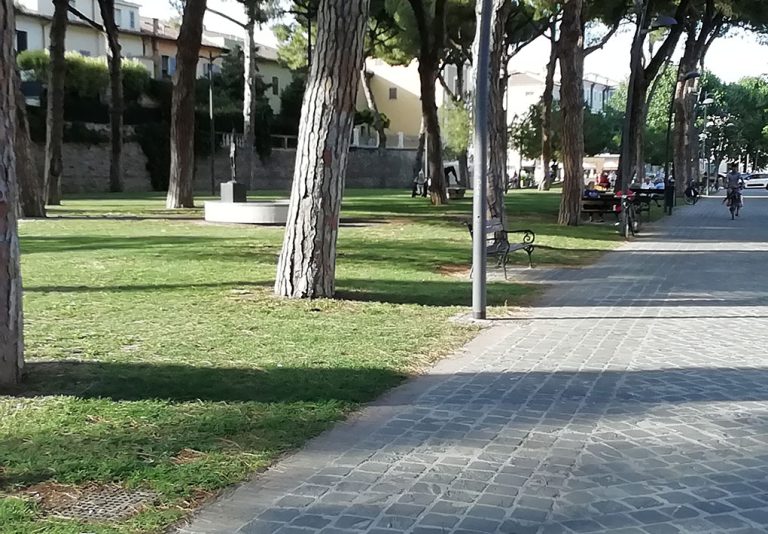 un viale in un parco alberato