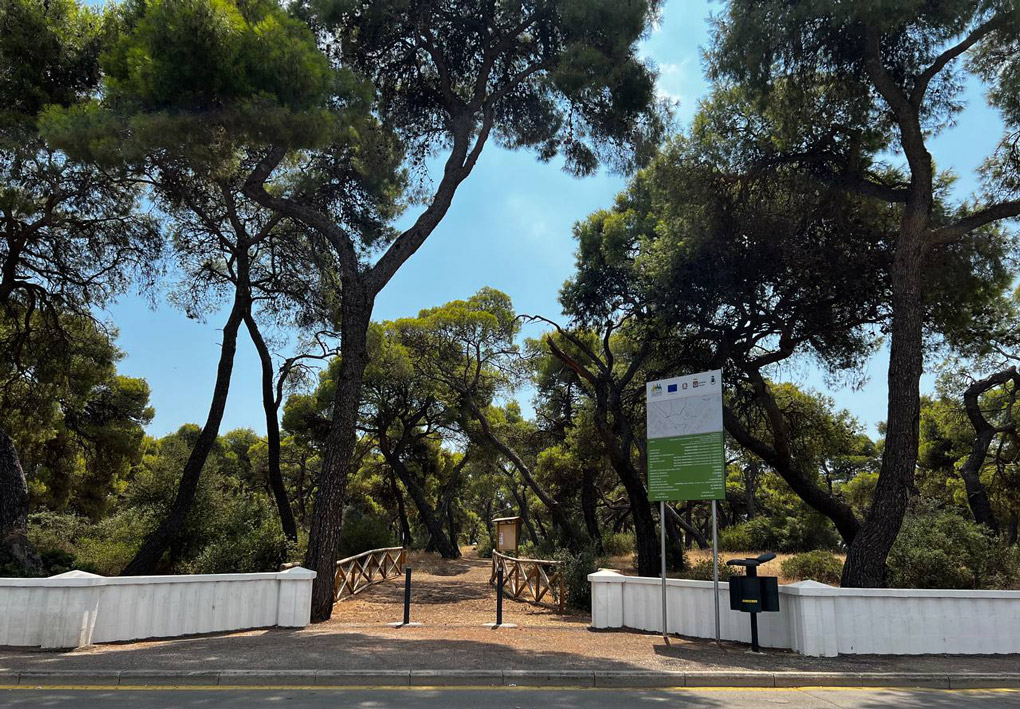 entrata della pineta