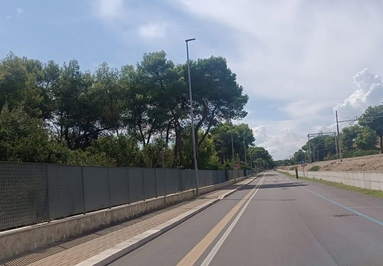 una pista ciclabile lungo la strada