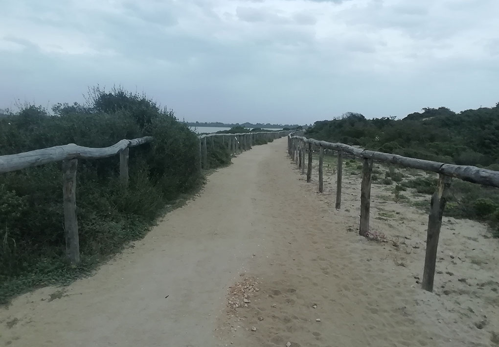 una passeggiata in terra battuta lungo la salina
