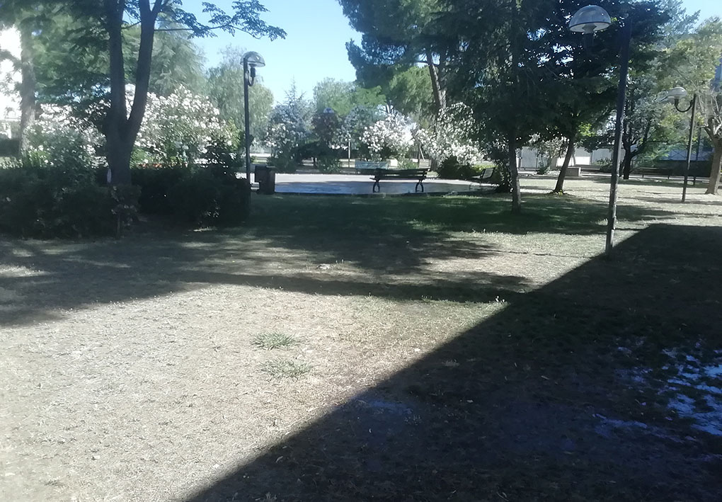 un parco con alberi e panchine