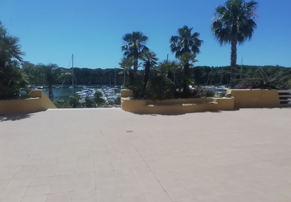 un'ampia piazza con aiuole di palme e, sullo sfondo, un porticciolo