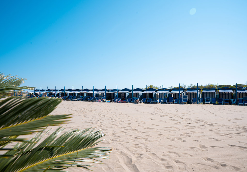 file di ombrelloni sulla sabbia