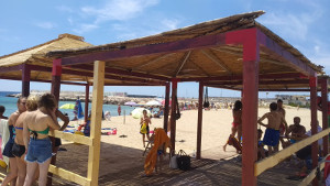Mare_per_tutti_2