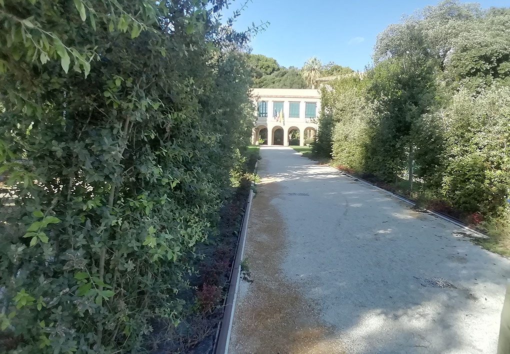 Il vialone di accesso alla villa, tra due aiuole con rigogliosa vegetazione