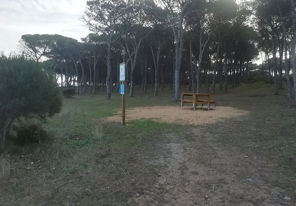 tavoli da picnic nella pineta