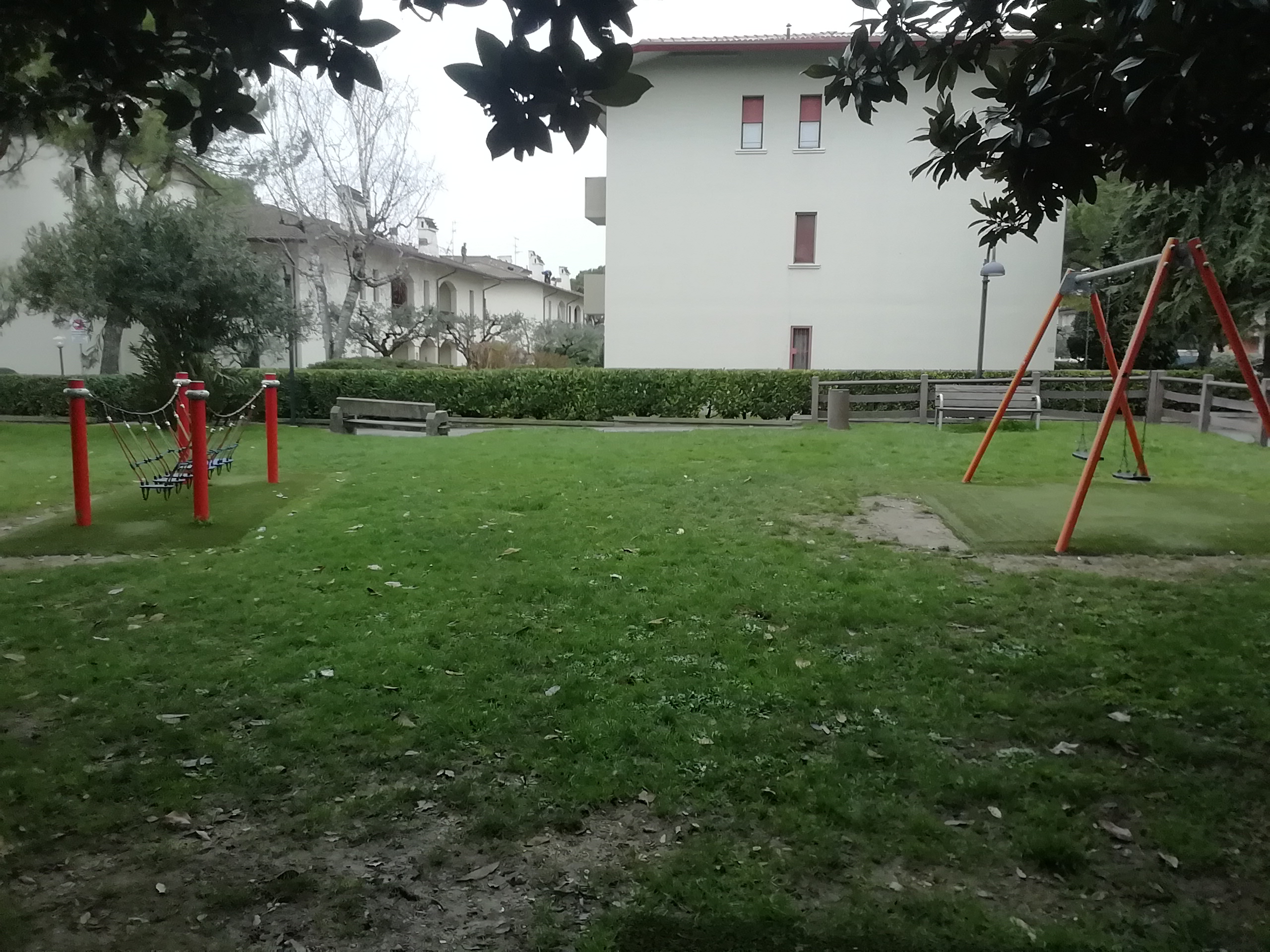 Altalene in un prato tra gli alberi