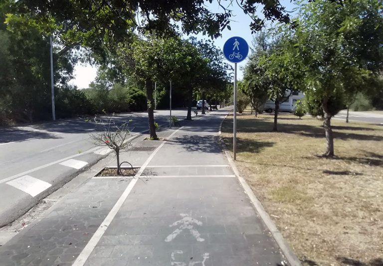 pista ciclabile con pavimentazione rugosa, circondata da un prato e alberi.