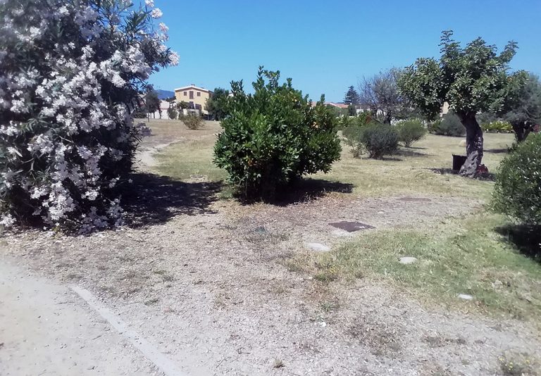 Area verde con cespugli, alberi e prato secco. A sinistra, un oleandro in fiore. Sullo sfondo, edifici residenziali e cielo sereno.