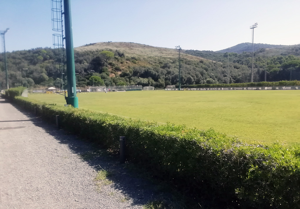un campo da gioco in erba, contornato da una siepe bassa