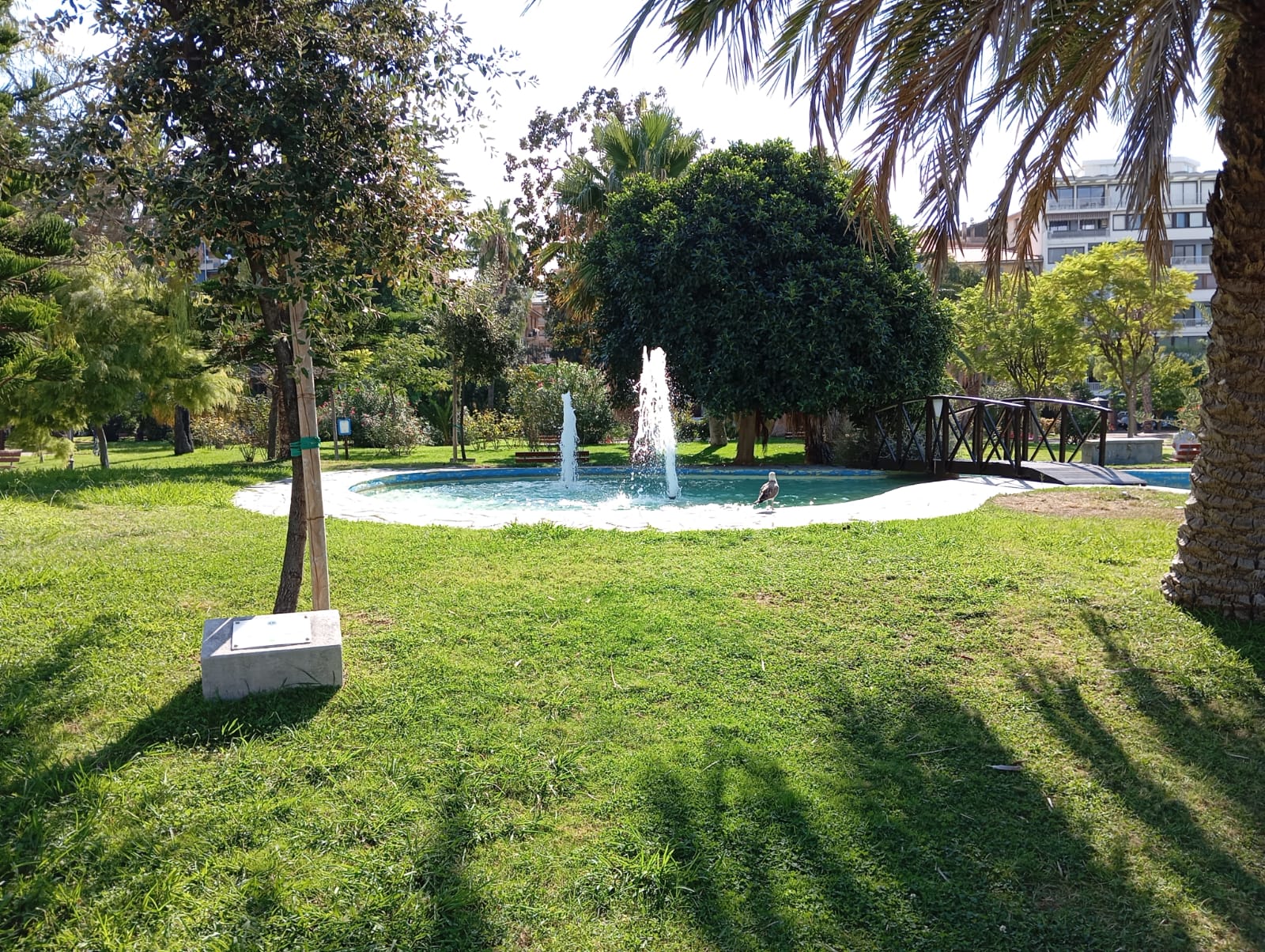 parco urbano con erba e fontanella. presenti molti alberi rigogliosi