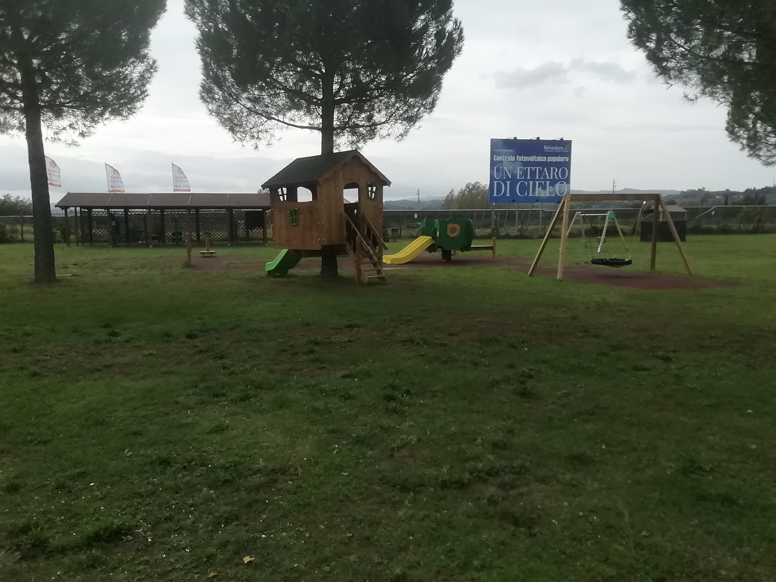 Giochi inclusivi su un ampio prato con alberi