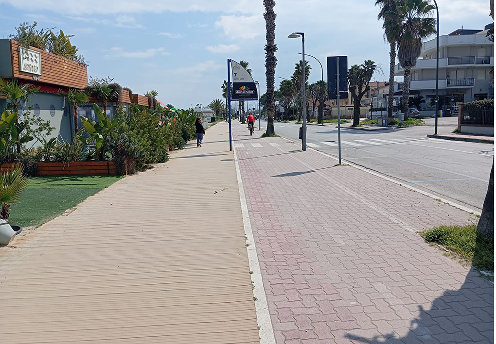 Percorso pedonale e ciclabile con palme, panchina.