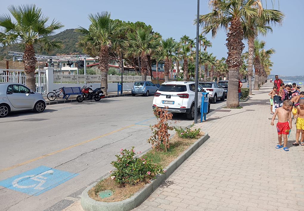 Passeggiata sul lungomare con filare di palme, parcheggi lungo la strada, aiuole e accesso alla spiaggia sul lato mare.