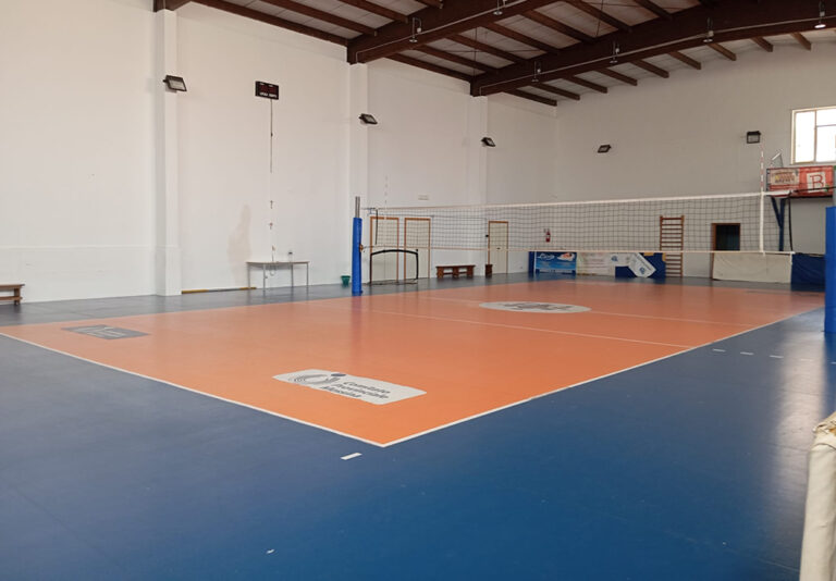 Palestra coperta con campo da pallavolo regolamentare, rete centrale, pavimentazione sportiva multicolore e ampio spazio libero lungo il perimetro.